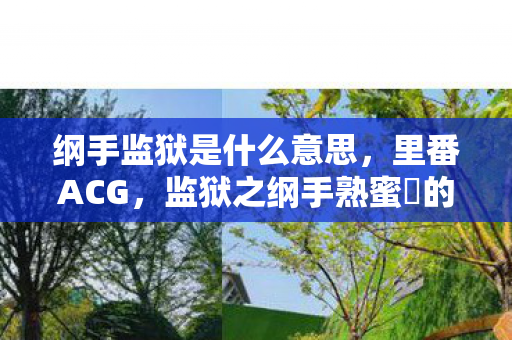 纲手监狱是什么意思，里番ACG，监狱之纲手熟蜜姫的深层魅力