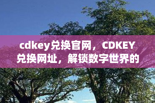 cdkey兑换官网,CDKEY兑换网址,解锁数字世界的神秘钥匙 cdkey兑换官网,CDKEY兑换网址,解锁数字世界的神秘钥匙