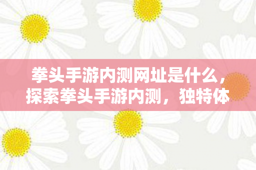 拳头手游内测网址是什么,探索拳头手游内测,独特体验与未来展望 拳头手游内测网址是什么,探索拳头手游内测,独特体验与未来展望