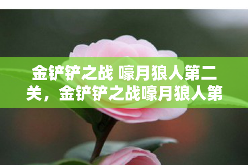 金铲铲之战 嚎月狼人第二关,金铲铲之战嚎月狼人第二关攻略 金铲铲之战 嚎月狼人第二关,金铲铲之战嚎月狼人第二关攻略