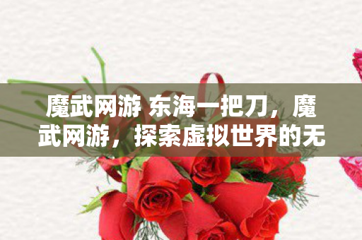 魔武网游 东海一把刀,魔武网游,探索虚拟世界的无限可能 魔武网游 东海一把刀,魔武网游,探索虚拟世界的无限可能