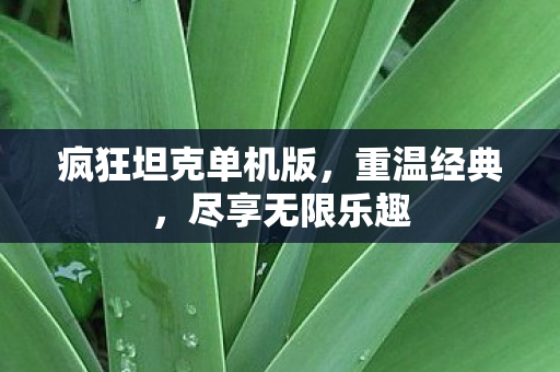 疯狂坦克单机版,重温经典,尽享无限乐趣 疯狂坦克单机版,重温经典,尽享无限乐趣
