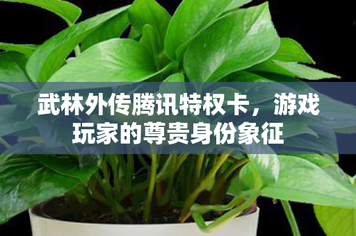 武林外传腾讯特权卡,游戏玩家的尊贵身份象征 武林外传腾讯特权卡,游戏玩家的尊贵身份象征
