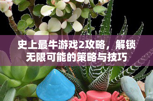 史上最牛游戏2攻略，解锁无限可能的策略与技巧