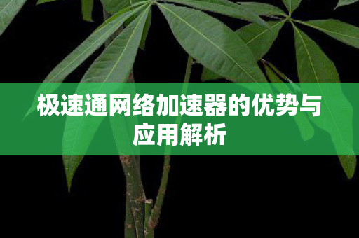 极速通网络加速器的优势与应用解析