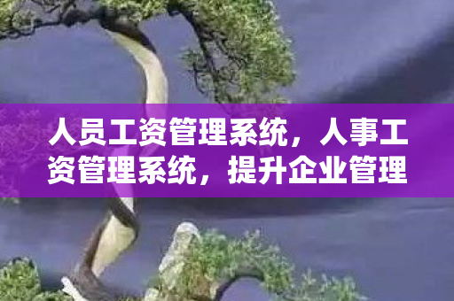 人员工资管理系统，人事工资管理系统，提升企业管理效率的关键工具