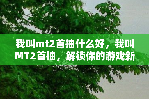我叫mt2首抽什么好，我叫MT2首抽，解锁你的游戏新篇章