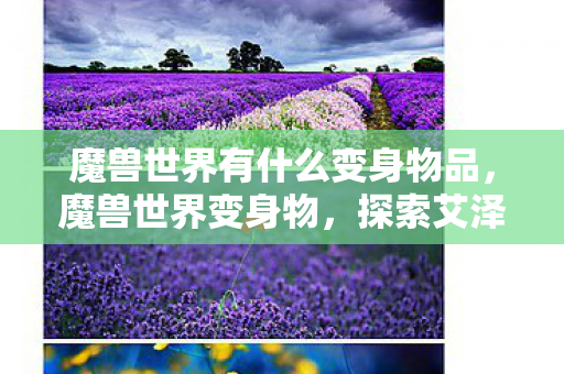 魔兽世界有什么变身物品，魔兽世界变身物，探索艾泽拉斯的奇幻之旅