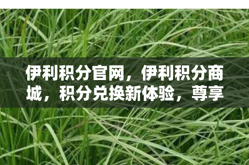 伊利积分官网，伊利积分商城，积分兑换新体验，尊享更多优惠