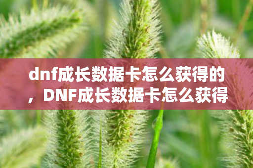 dnf成长数据卡怎么获得的，DNF成长数据卡怎么获得