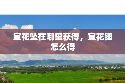宣花坠在哪里获得，宣花锤怎么得