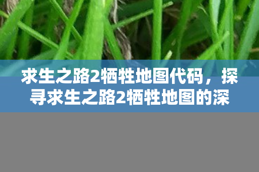 求生之路2牺牲地图代码,探寻求生之路2牺牲地图的深层含义与游戏策略 求生之路2牺牲地图代码,探寻求生之路2牺牲地图的深层含义与游戏策略