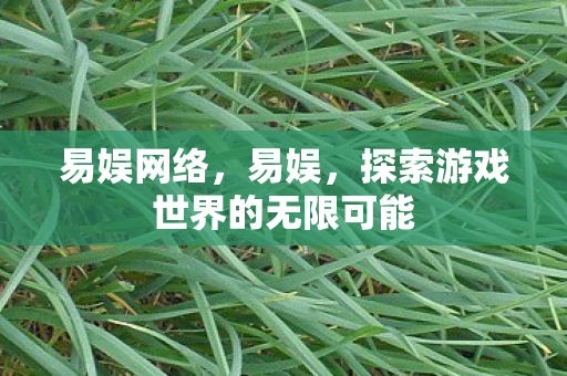 易娱网络,易娱,探索游戏世界的无限可能 易娱网络,易娱,探索游戏世界的无限可能