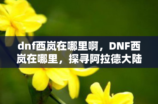 dnf西岚在哪里啊,DNF西岚在哪里,探寻阿拉德大陆的英雄传说 dnf西岚在哪里啊,DNF西岚在哪里,探寻阿拉德大陆的英雄传说