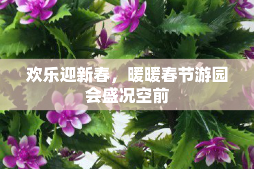欢乐迎新春,暖暖春节游园会盛况空前 欢乐迎新春,暖暖春节游园会盛况空前