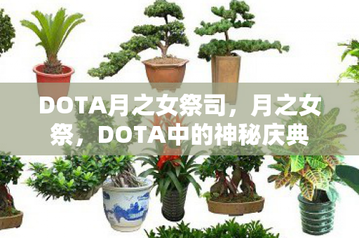 DOTA月之女祭司，月之女祭，DOTA中的神秘庆典