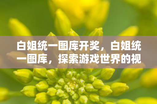 白姐统一图库开奖,白姐统一图库,探索游戏世界的视觉盛宴 白姐统一图库开奖,白姐统一图库,探索游戏世界的视觉盛宴