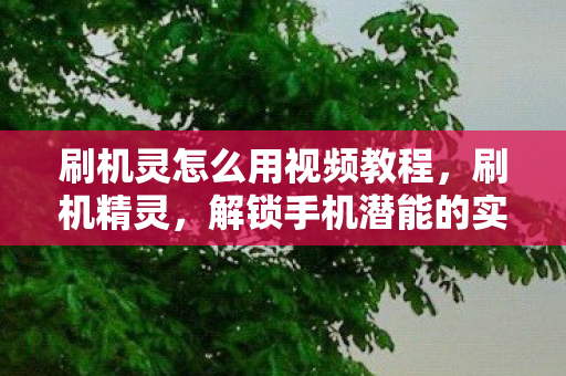 刷机灵怎么用视频教程，刷机精灵，解锁手机潜能的实用指南