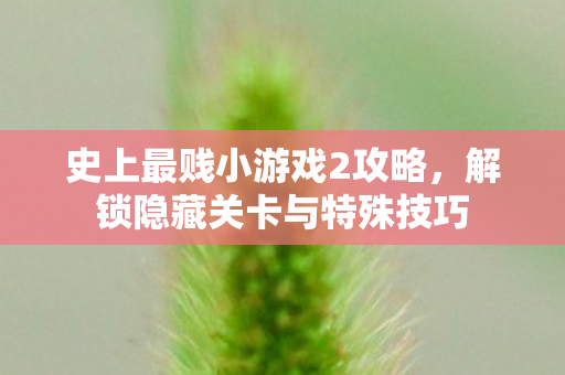 史上最贱小游戏2攻略,解锁隐藏关卡与特殊技巧 史上最贱小游戏2攻略,解锁隐藏关卡与特殊技巧