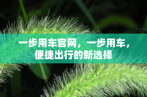一步用车官网,一步用车,便捷出行的新选择 一步用车官网,一步用车,便捷出行的新选择