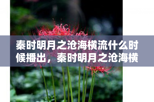 秦时明月之沧海横流什么时候播出，秦时明月之沧海横流什么时候上映