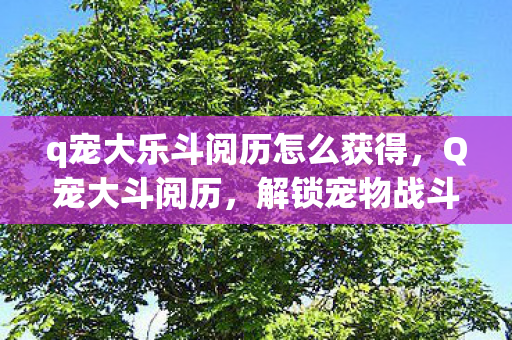 q宠大乐斗阅历怎么获得,Q宠大斗阅历,解锁宠物战斗新境界 q宠大乐斗阅历怎么获得,Q宠大斗阅历,解锁宠物战斗新境界