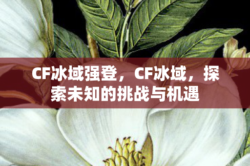 CF冰域强登,CF冰域,探索未知的挑战与机遇 CF冰域强登,CF冰域,探索未知的挑战与机遇