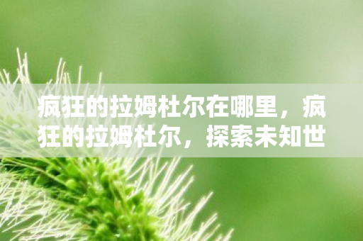 疯狂的拉姆杜尔在哪里，疯狂的拉姆杜尔，探索未知世界的奇幻之旅