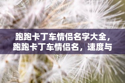 跑跑卡丁车情侣名字大全,跑跑卡丁车情侣名,速度与爱情的浪漫交织 跑跑卡丁车情侣名字大全,跑跑卡丁车情侣名,速度与爱情的浪漫交织