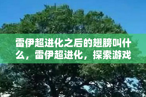 雷伊超进化之后的翅膀叫什么,雷伊超进化,探索游戏进化的奥秘 雷伊超进化之后的翅膀叫什么,雷伊超进化,探索游戏进化的奥秘