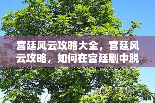 宫廷风云攻略大全，宫廷风云攻略，如何在宫廷剧中脱颖而出