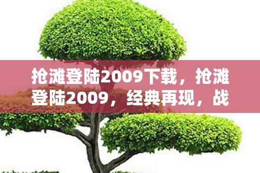 抢滩登陆2009下载,抢滩登陆2009,经典再现,战略新体验 抢滩登陆2009下载,抢滩登陆2009,经典再现,战略新体验