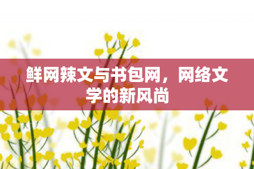 鲜网辣文与书包网,网络文学的新风尚 鲜网辣文与书包网,网络文学的新风尚