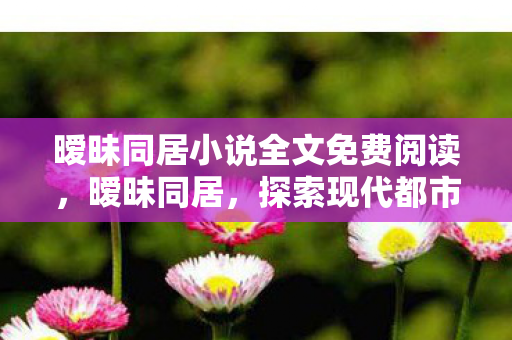 暧昧同居小说全文免费阅读,暧昧同居,探索现代都市中的微妙情感与生活方式 暧昧同居小说全文免费阅读,暧昧同居,探索现代都市中的微妙情感与生活方式