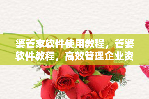 婆管家软件使用教程,管婆软件教程,高效管理企业资源的实战指南 婆管家软件使用教程,管婆软件教程,高效管理企业资源的实战指南