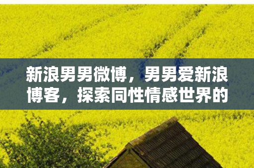 新浪男男微博,男男爱新浪博客,探索同性情感世界的深度剖析 新浪男男微博,男男爱新浪博客,探索同性情感世界的深度剖析
