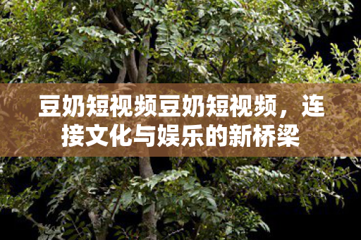 豆奶短视频豆奶短视频,连接文化与娱乐的新桥梁 豆奶短视频豆奶短视频,连接文化与娱乐的新桥梁
