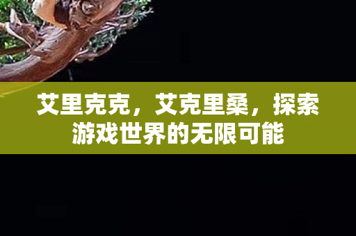 艾里克克,艾克里桑,探索游戏世界的无限可能 艾里克克,艾克里桑,探索游戏世界的无限可能