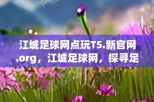 江城足球网点玩T5.新官网.org,江城足球网,探寻足球激情的线上殿堂 江城足球网点玩T5.新官网.org,江城足球网,探寻足球激情的线上殿堂