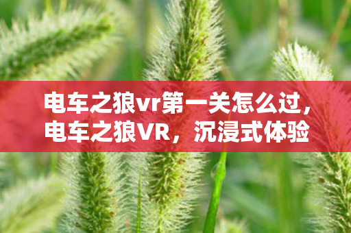 电车之狼vr第一关怎么过,电车之狼VR,沉浸式体验与未来科技融合 电车之狼vr第一关怎么过,电车之狼VR,沉浸式体验与未来科技融合