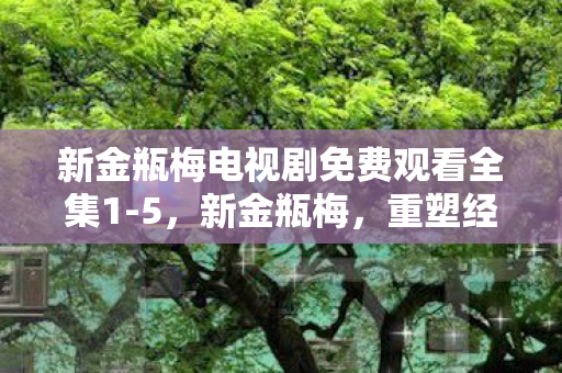 新金瓶梅电视剧免费观看全集1-5，新金瓶梅，重塑经典，再现传奇