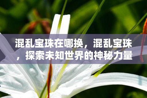 混乱宝珠在哪换，混乱宝珠，探索未知世界的神秘力量