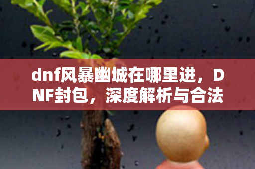 dnf风暴幽城在哪里进，DNF封包，深度解析与合法使用指南