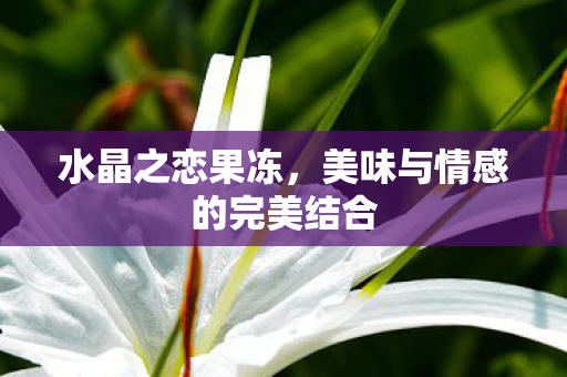 水晶之恋果冻,美味与情感的完美结合 水晶之恋果冻,美味与情感的完美结合