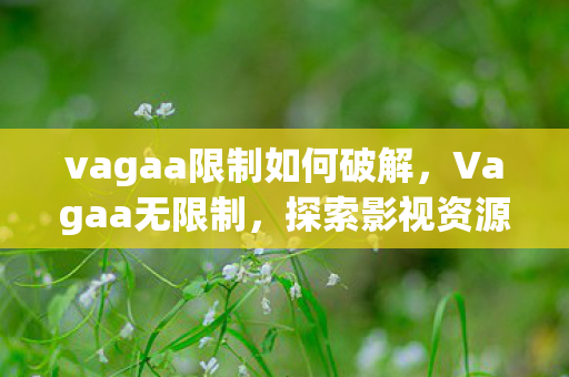 vagaa限制如何破解，Vagaa无限制，探索影视资源的新世界