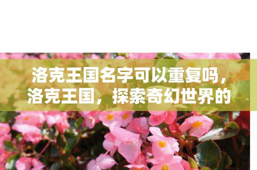 洛克王国名字可以重复吗，洛克王国，探索奇幻世界的奇妙冒险