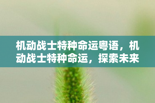 机动战士特种命运粤语，机动战士特种命运，探索未来战争的新篇章