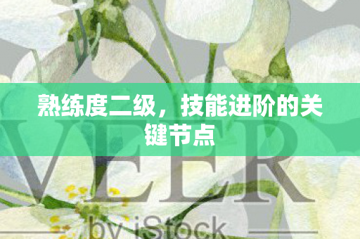 熟练度二级,技能进阶的关键节点 熟练度二级,技能进阶的关键节点