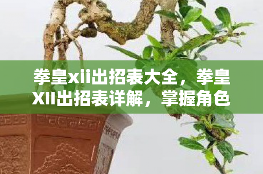 拳皇xii出招表大全，拳皇XII出招表详解，掌握角色绝技，畅享格斗盛宴