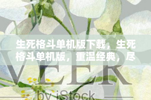 生死格斗单机版下载，生死格斗单机版，重温经典，尽享格斗魅力